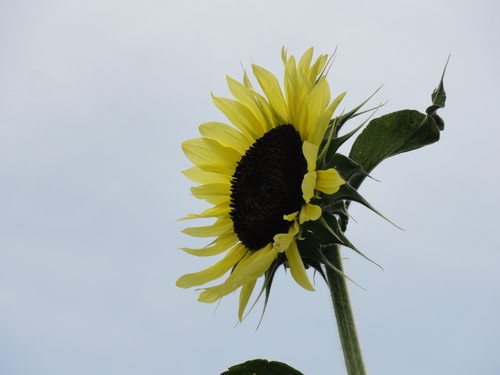 c0108460_2331630.jpg