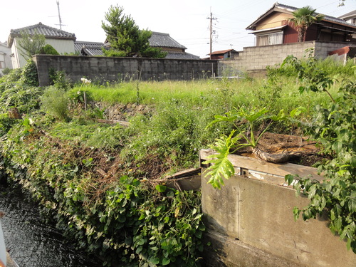c0108460_2355139.jpg