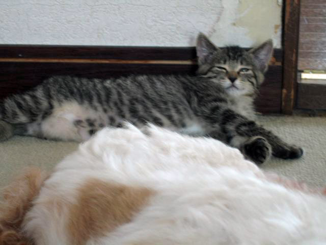 c0162160_16134138.jpg