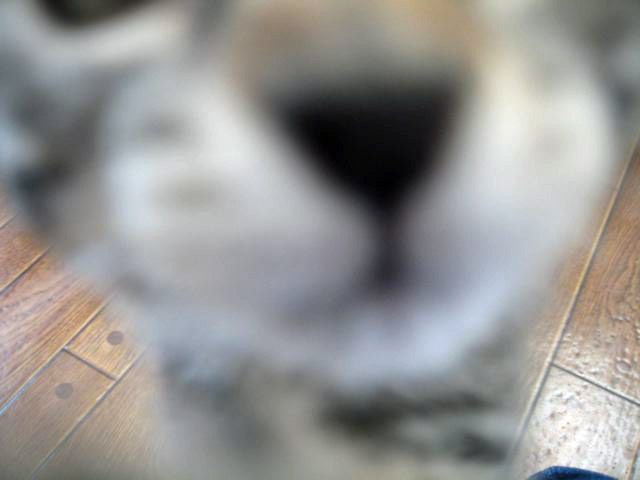c0162160_1614483.jpg
