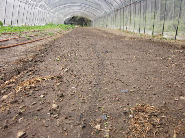 e0181260_214083.jpg