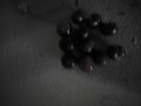 b0122664_254686.jpg