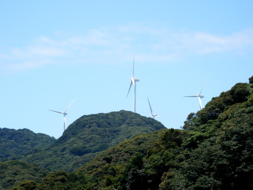 c0122670_2365436.jpg