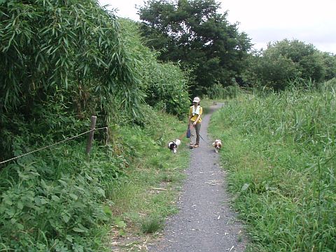 f0047773_1759219.jpg