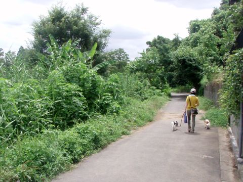 f0047773_17593691.jpg