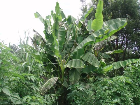 f0047773_17594742.jpg
