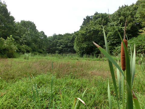 c0002874_22282881.jpg