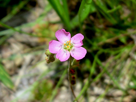c0002874_22473952.jpg