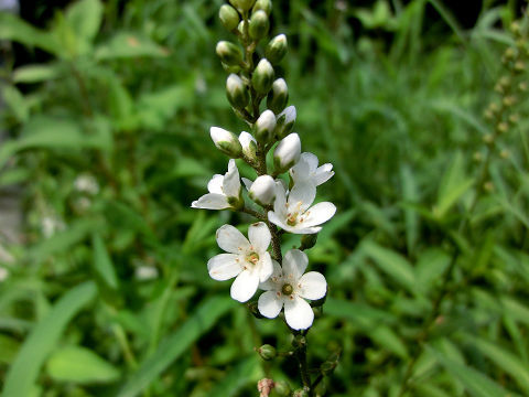 c0002874_22513824.jpg