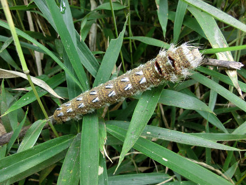 c0002874_22582916.jpg
