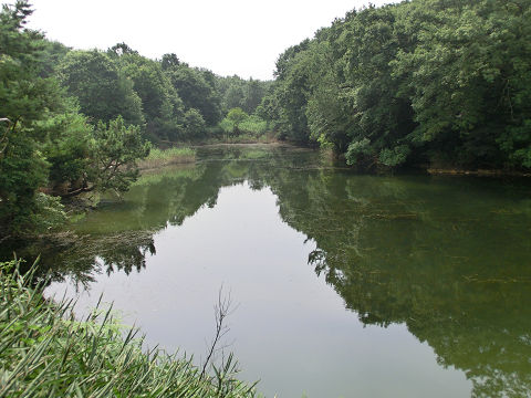 c0002874_231570.jpg