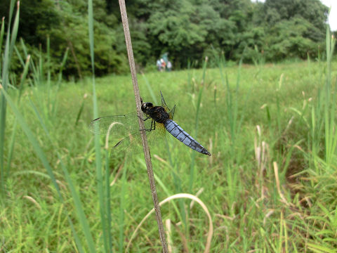 c0002874_2322927.jpg