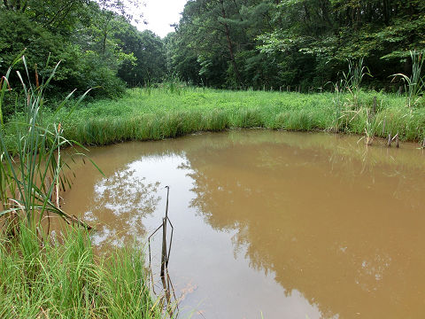 c0002874_234964.jpg