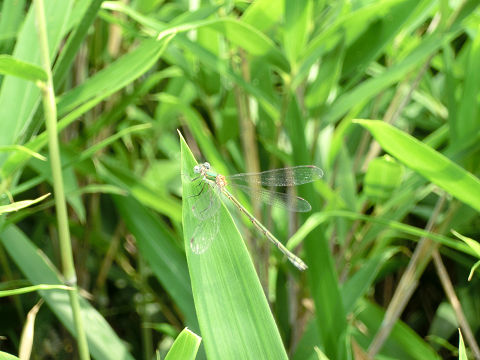 c0002874_2393310.jpg