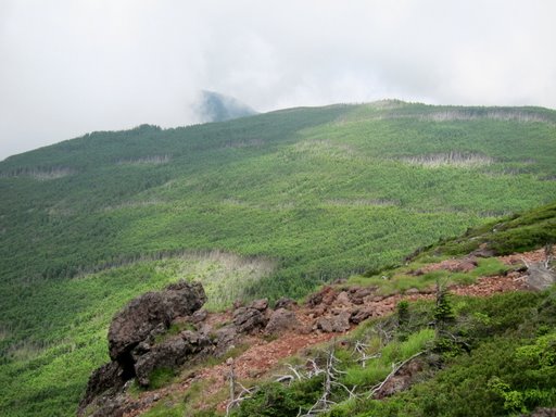 f0054075_1972676.jpg