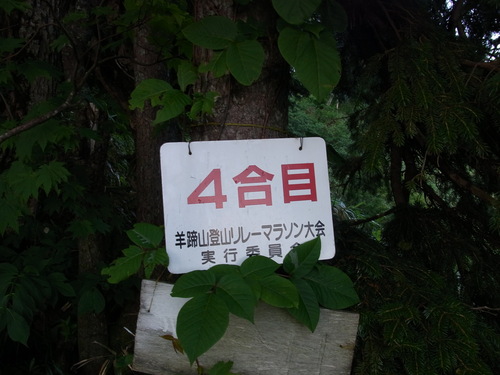 f0130376_821947.jpg
