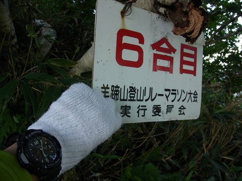 f0130376_851723.jpg