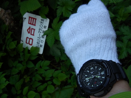 f0130376_87776.jpg