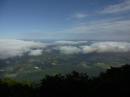 f0130376_89775.jpg