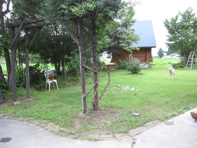 b0134278_11562090.jpg