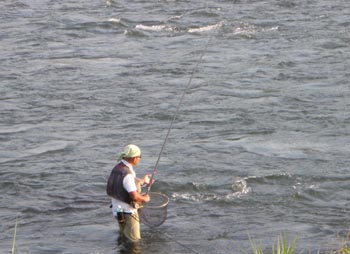 c0146788_1932136.jpg