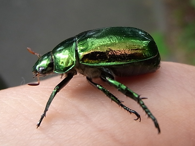 c0208989_619216.jpg