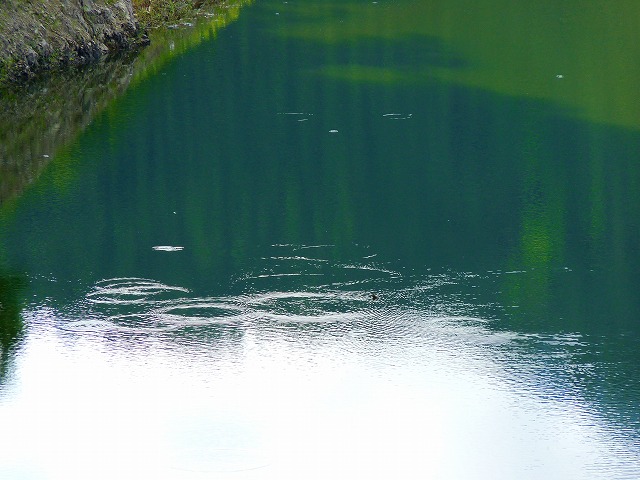 e0202393_1833575.jpg
