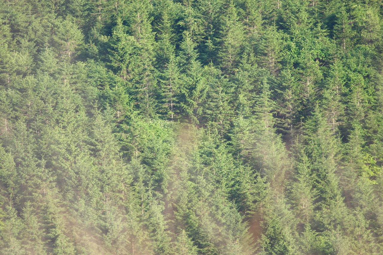 e0167295_22454762.jpg