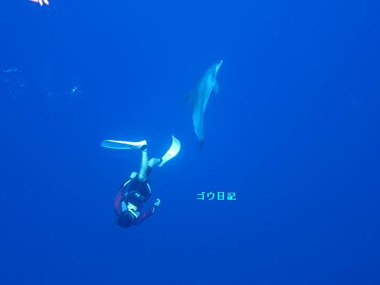 c0145897_1115187.jpg