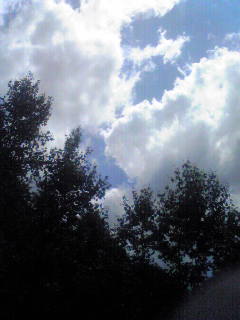 f0122998_1044672.jpg