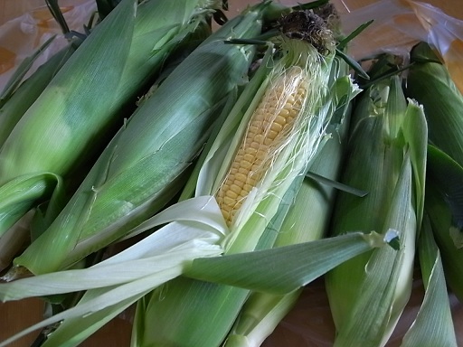 e0043700_21432063.jpg