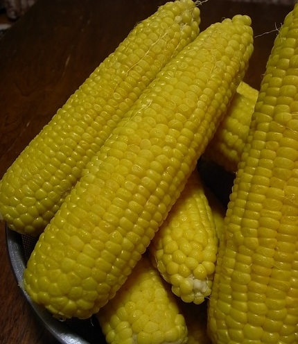 e0043700_2145581.jpg