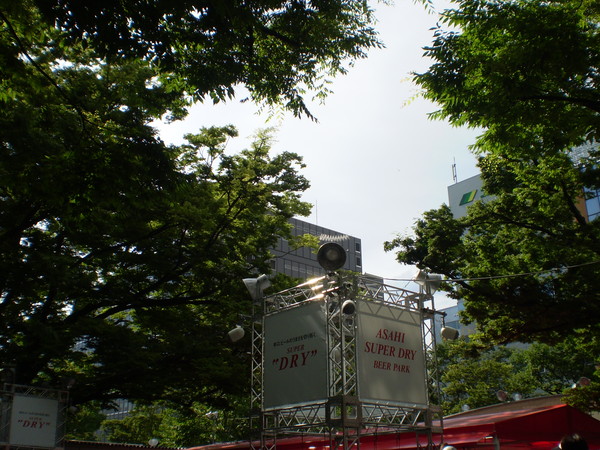 a0100206_1013296.jpg