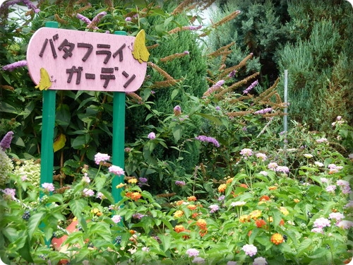 b0052108_23303466.jpg
