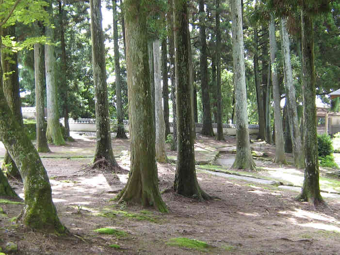 d0154609_13454882.jpg