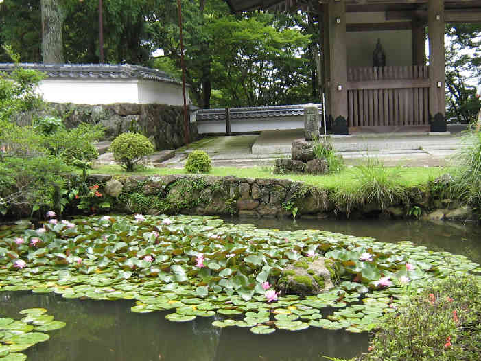d0154609_13542915.jpg