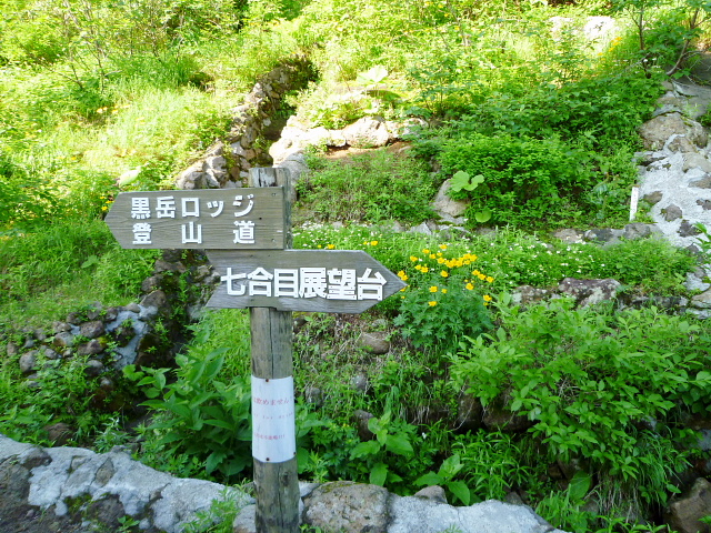 d0170615_22362143.jpg
