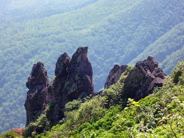 d0170615_22384618.jpg