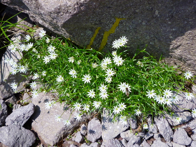 d0170615_22403921.jpg