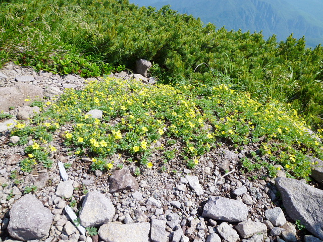 d0170615_2240661.jpg