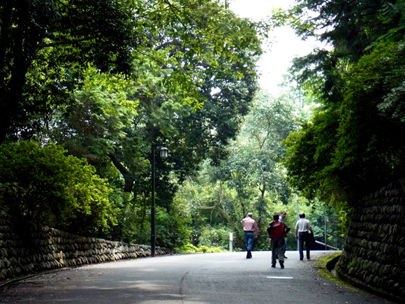 e0083517_1823366.jpg