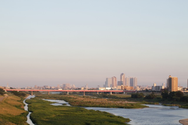 d0147321_222407.jpg