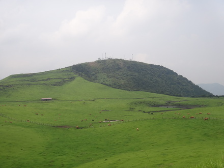 d0179521_12263642.jpg