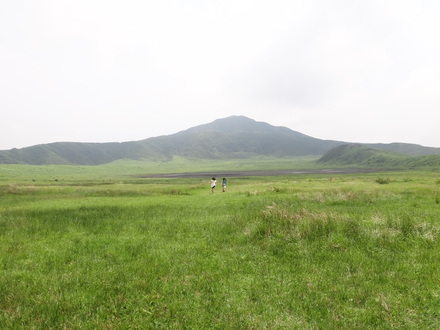 d0179521_12264946.jpg