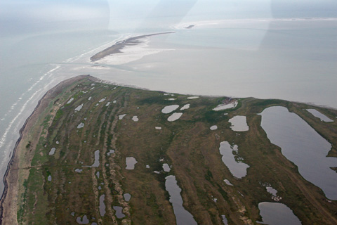 a0097322_750138.jpg