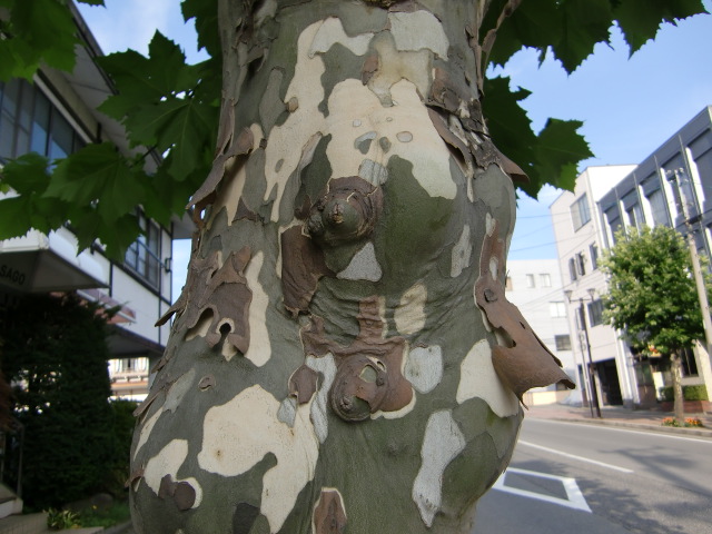 e0234924_9312326.jpg