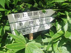 f0022024_23283395.jpg