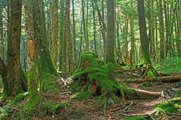 c0104227_1212539.jpg