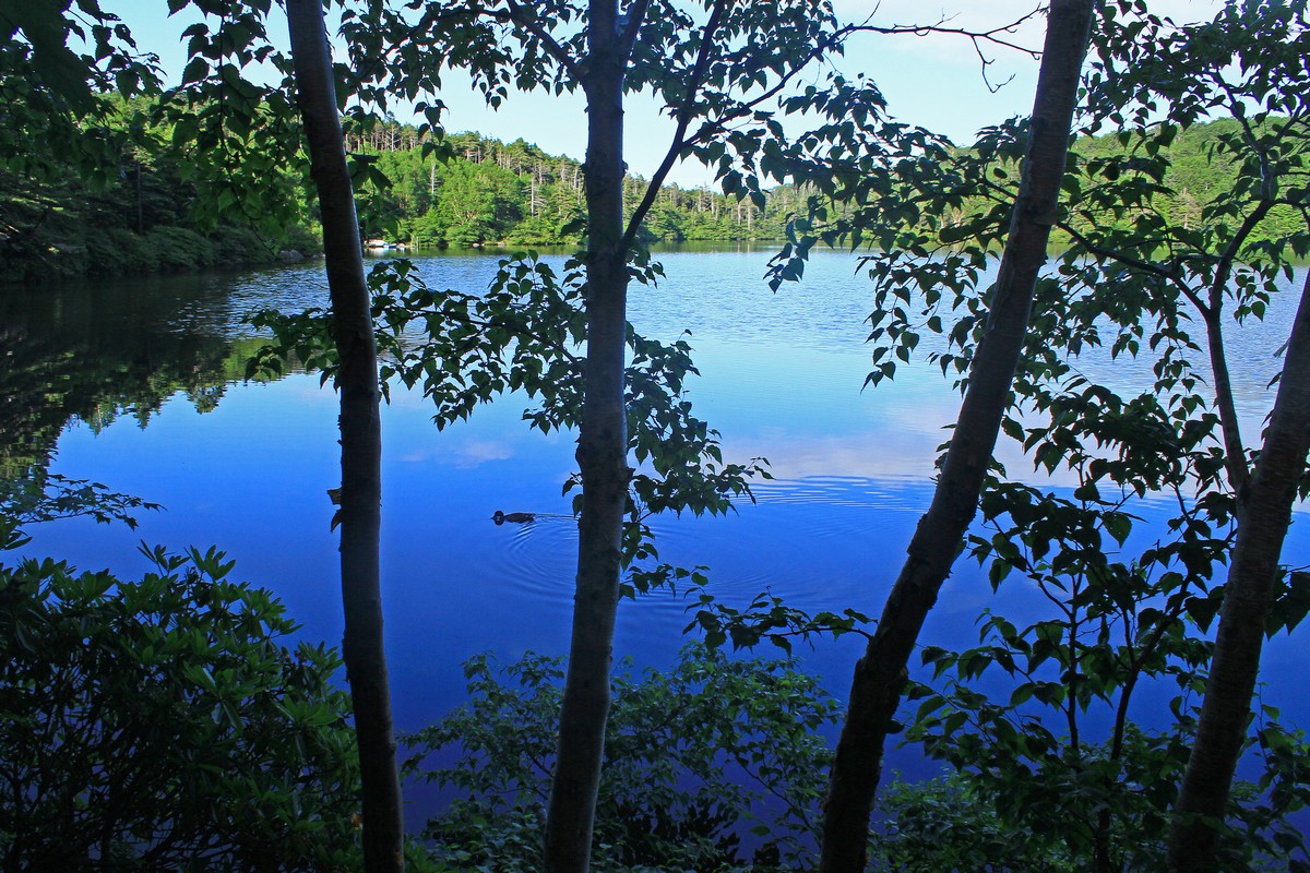 c0104227_1341830.jpg