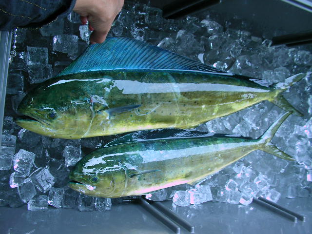 a0132631_18534930.jpg